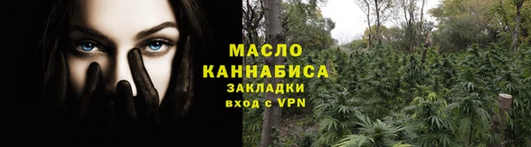 индика Абаза